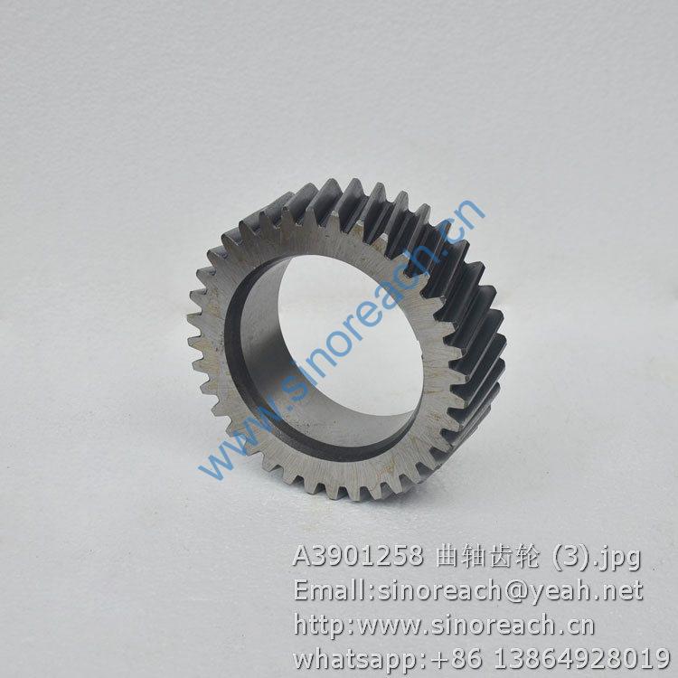 A3901258 曲轴齿轮 (3)