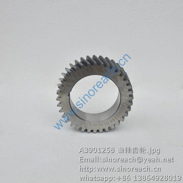 A3901258 曲轴齿轮