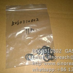 B060310802  GASKET for SEM spare parts
