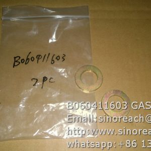 B060411603 GASKET for SEM spare parts