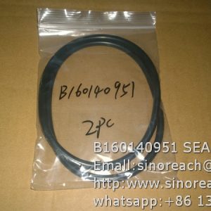 B160140951 SEAL RING for SEM spare parts