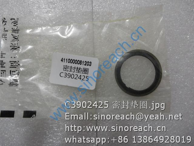 C3902425 密封垫圈