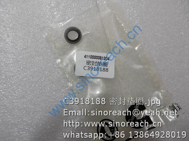C3918188 密封垫圈