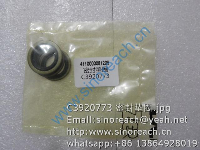 C3920773 密封垫圈