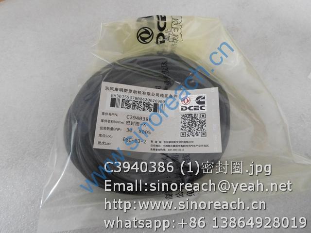 C3940386 (1)密封圈