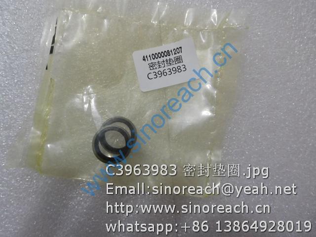 C3963983 密封垫圈