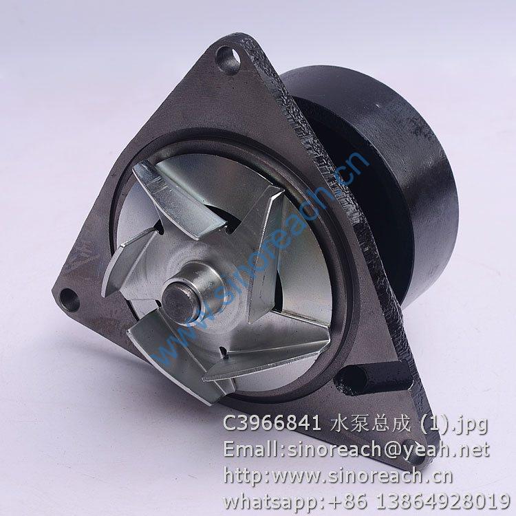 C3966841 水泵总成 (1)