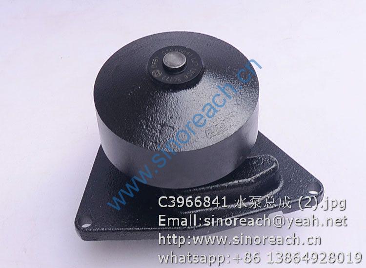 C3966841 水泵总成 (2)