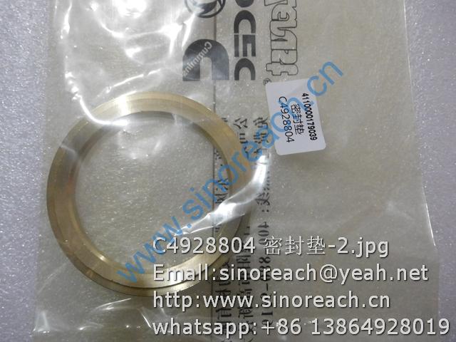 C4928804 密封垫-2