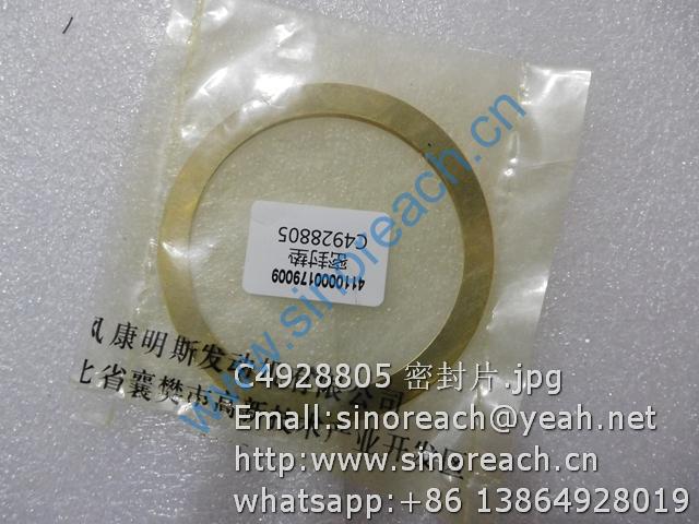 C4928805 密封片