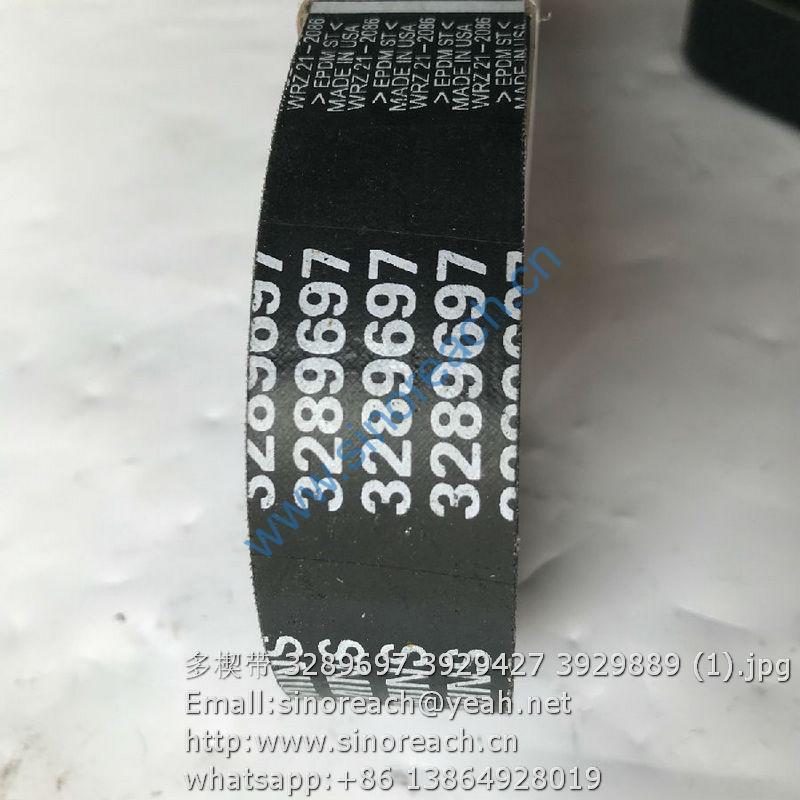 多楔带 3289697 3929427 3929889 (1)