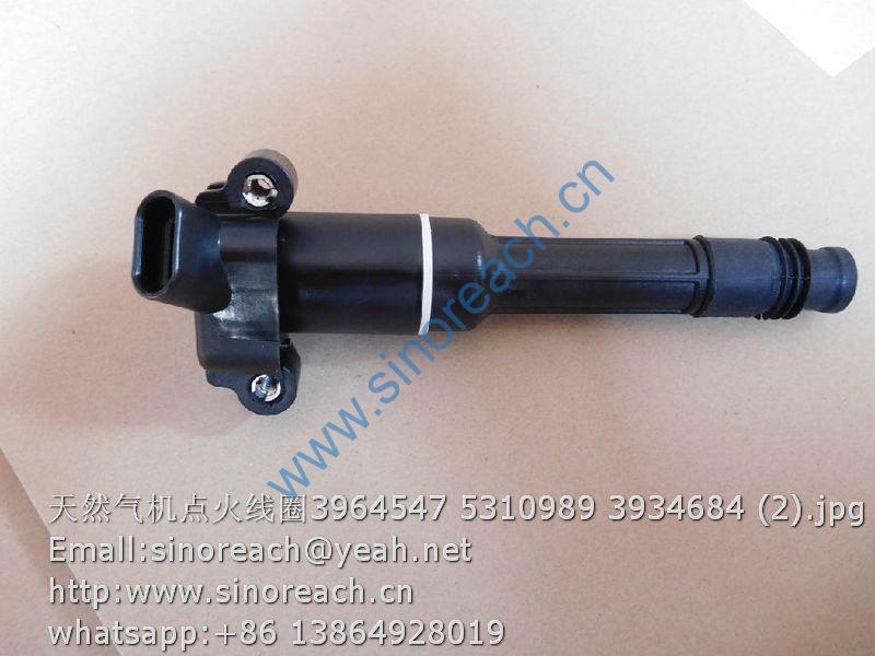 天然气机点火线圈3964547 5310989 3934684 (2)