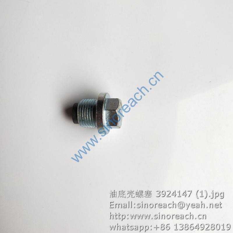 油底壳螺塞 3924147 (1)