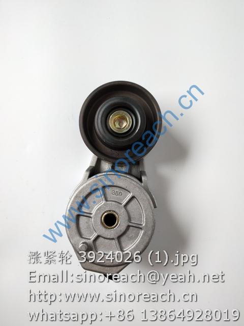 涨紧轮 3924026 (1)