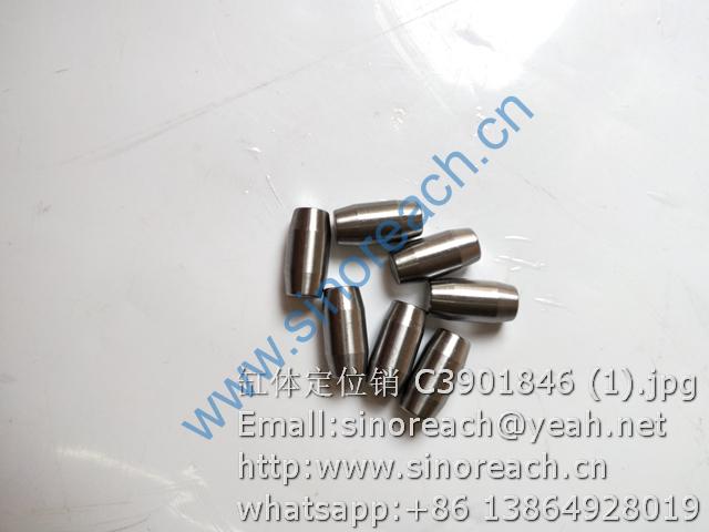 缸体定位销 C3901846 (1)