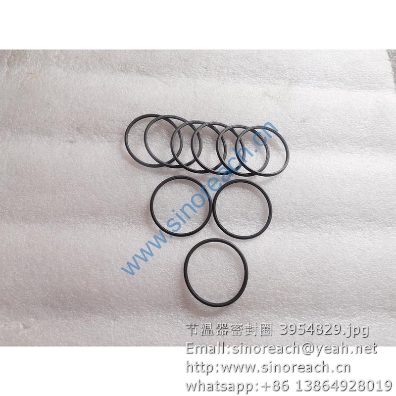 节温器密封圈 3954829