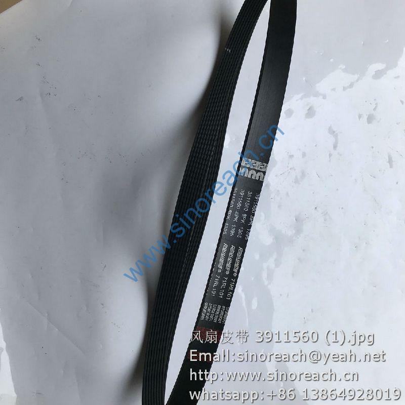 风扇皮带 3911560 (1)