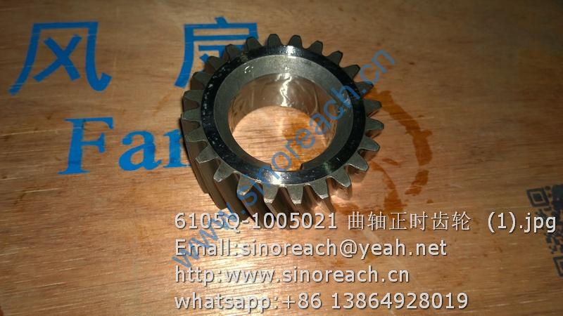 6105Q-1005021 曲轴正时齿轮 (1)