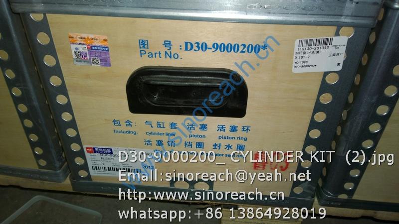 D30-9000200_ CYLINDER KIT (2)