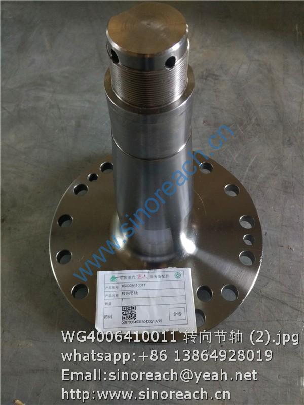 WG4006410011 转向节轴 (2)