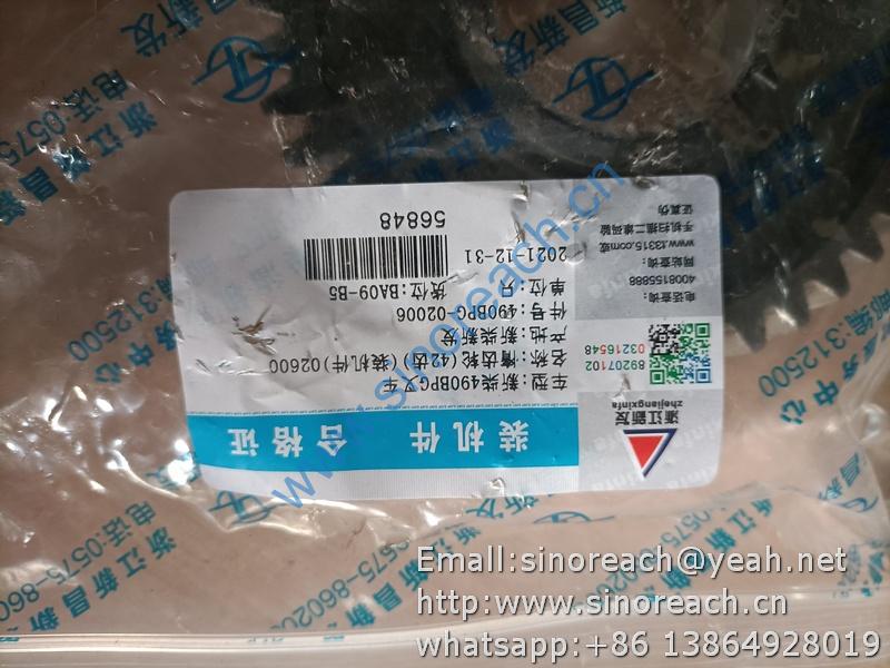 490BPG-02006 惰齿轮 (2)