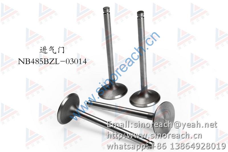 新柴 NB485BZL-03014 进气门 1