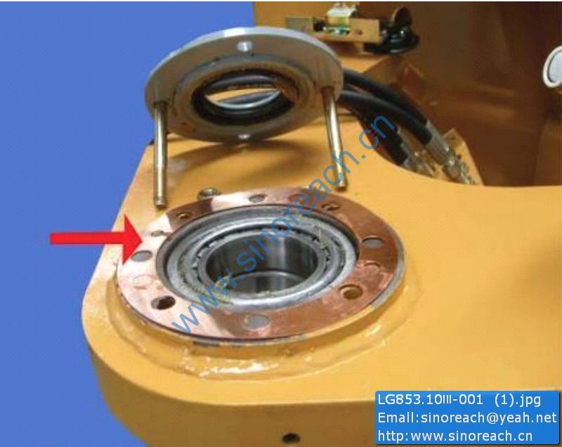 LG853.10Ⅲ-001 (1)