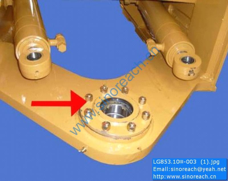 LG853.10Ⅲ-003 (1)