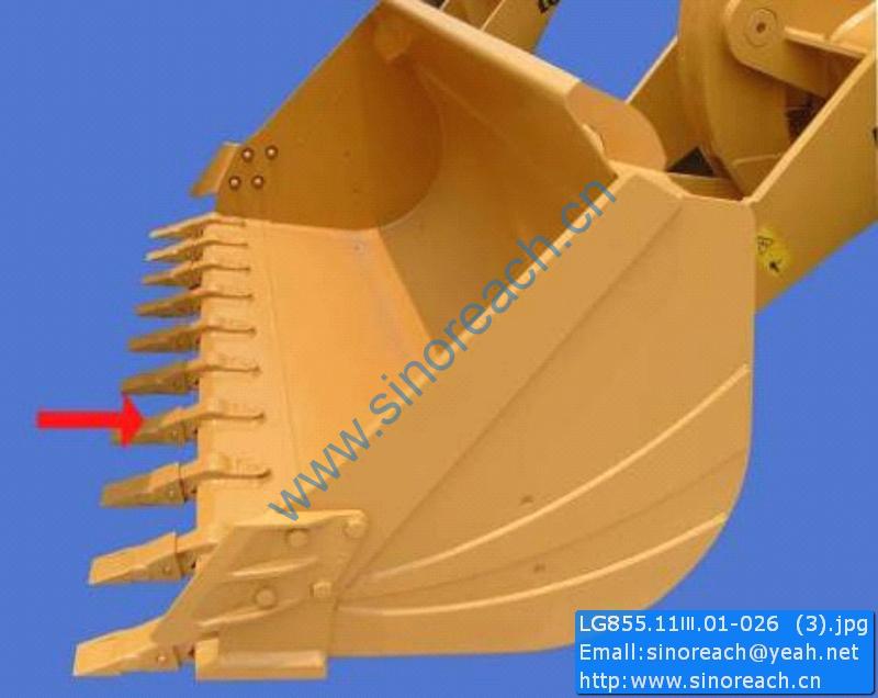 LG855.11Ⅲ.01-026 (3)