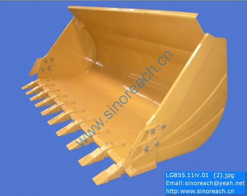 LG855.11Ⅳ.01 (2)