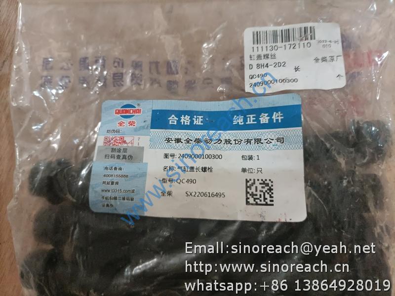 2409000100300 气缸盖长螺栓 QC490 (2)