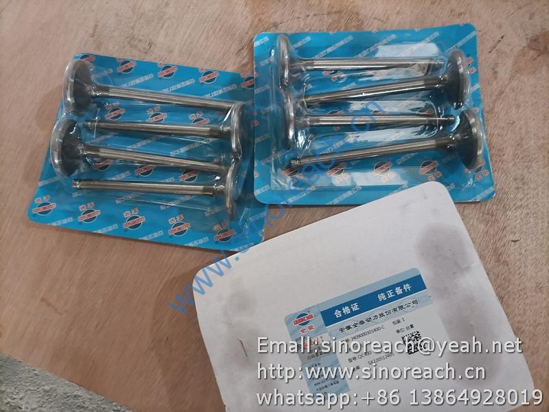 2409000301400 进气门 QC490 (1)