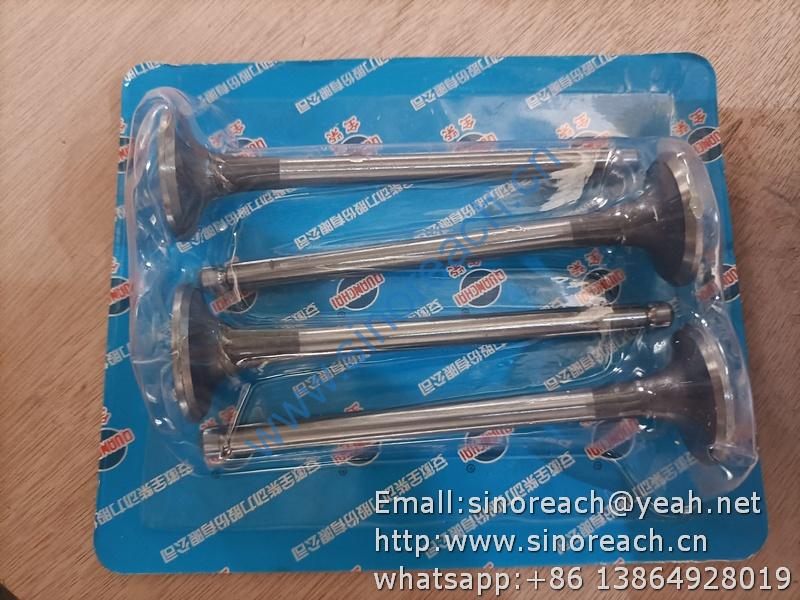 2409000301500 排气门 QC490 (3)