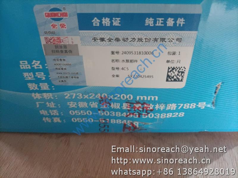 2409531810006 水泵 (2)