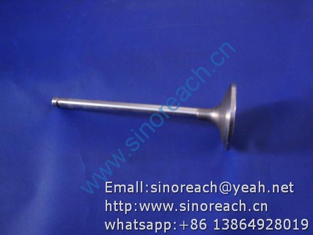 860109857 进气门D04-110-33