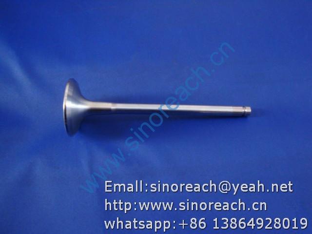 860109858 排气门D04-111-31