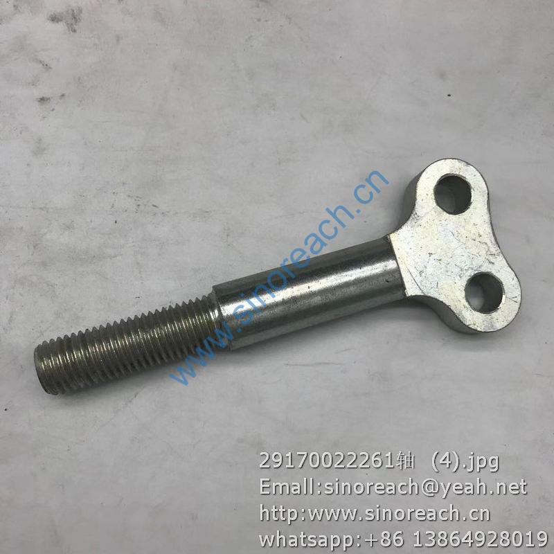 29170022261轴 (4)